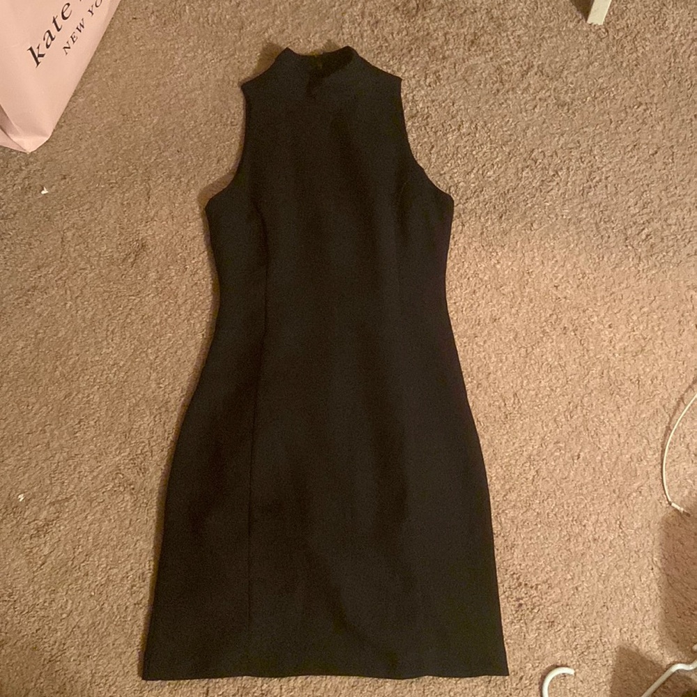 Beechers Brook fitted dress